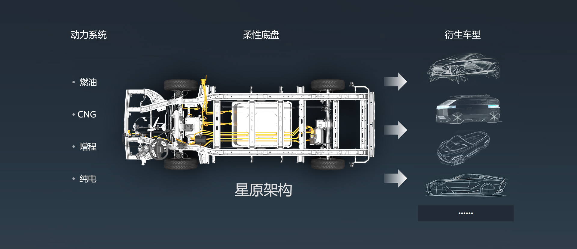 ƽ̨�����������黯