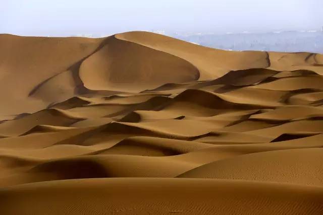 �ŵ�88(�й���)�ٷ���վ