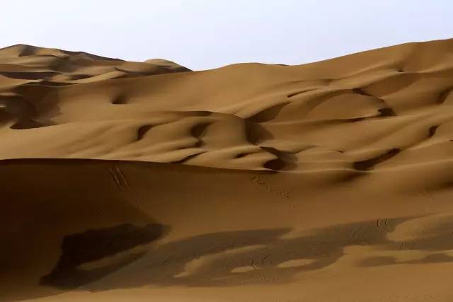 �ŵ�88(�й���)�ٷ���վ