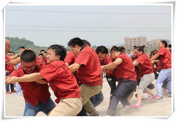 �ŵ�88(�й���)�ٷ���վ