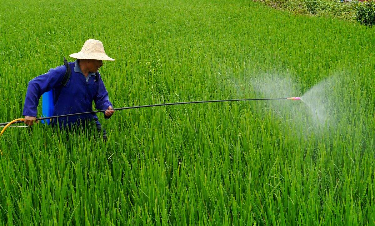 �ŵ�88������վֲ�����˻�Ϊ�ִ�ũҵ����