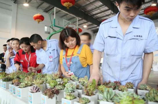 �ŵ�88(�й���)�ٷ���վ